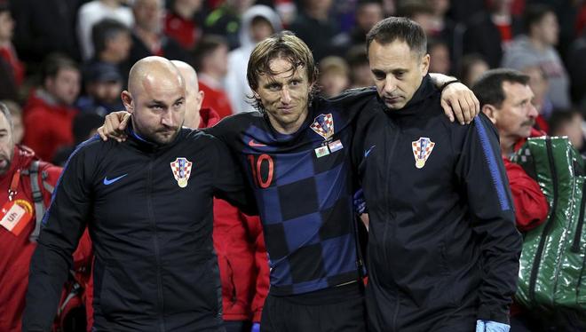 提供了启发 提供了启发